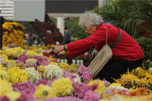 年逾古稀， “花心”依舊